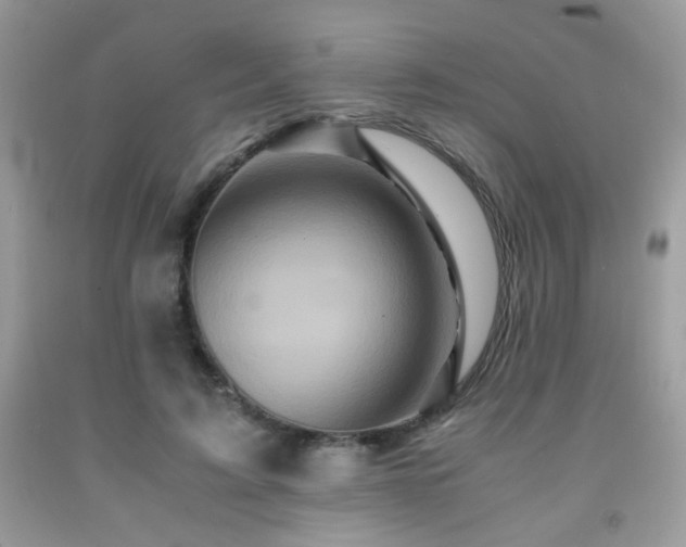 X0000092020595200709061555