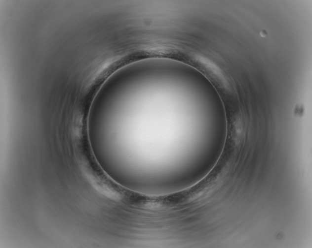 X0000092020596200709061555