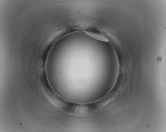 X0000092020599200709061555