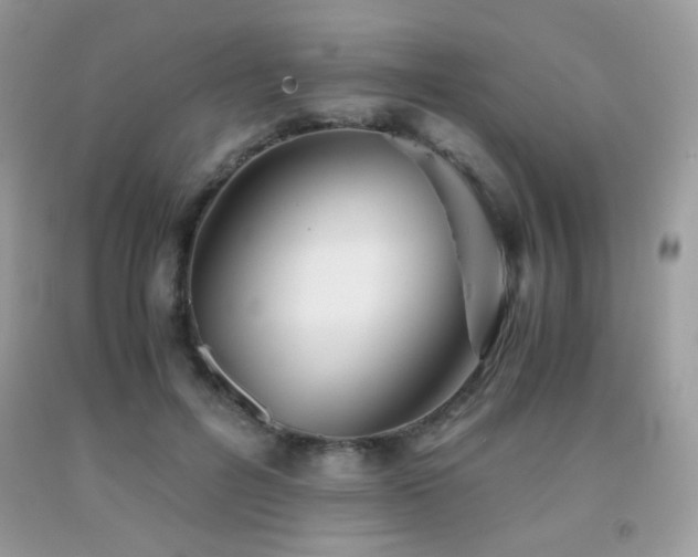 X0000092020600200709061555