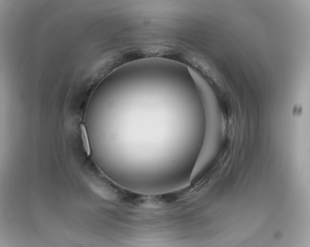 X0000092020601200709061555