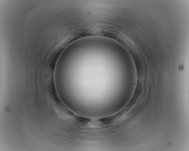 X0000092020603200709061555