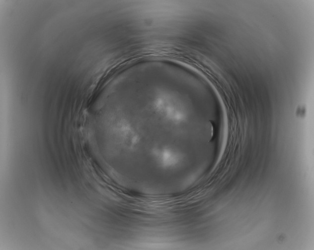 X0000092020604200709061555