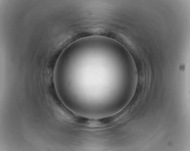 X0000092020605200709061555