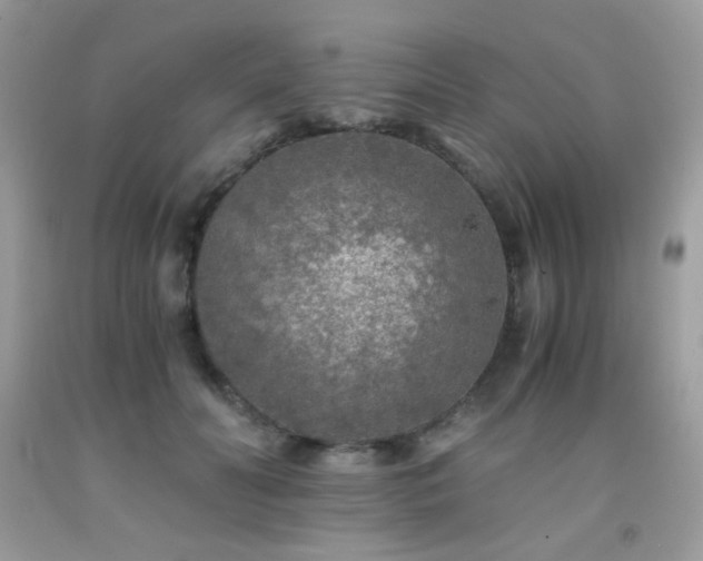 X0000092020606200709061555