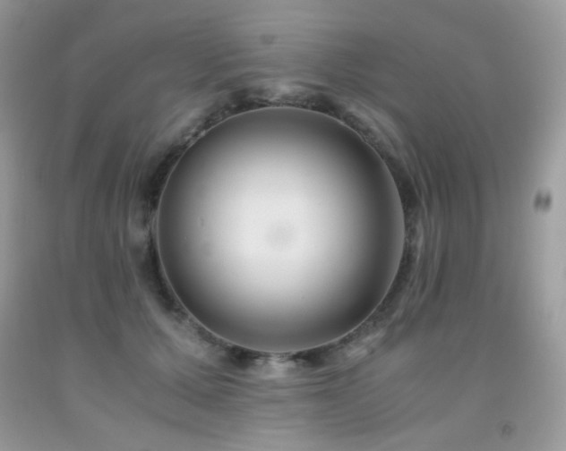 X0000092020607200709061555