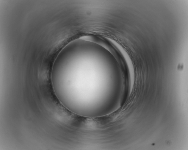 X0000092020608200709061555
