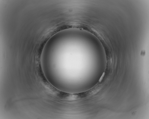 X0000092020609200709061555