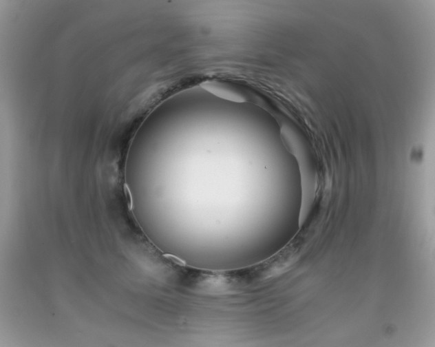 X0000092020611200709061555