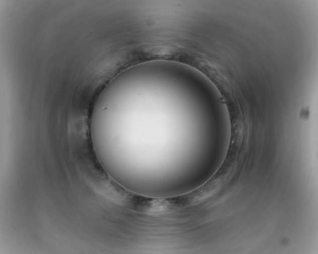 X0000092020612200709061555