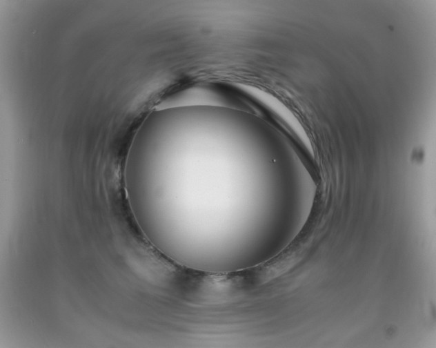 X0000092020613200709061554