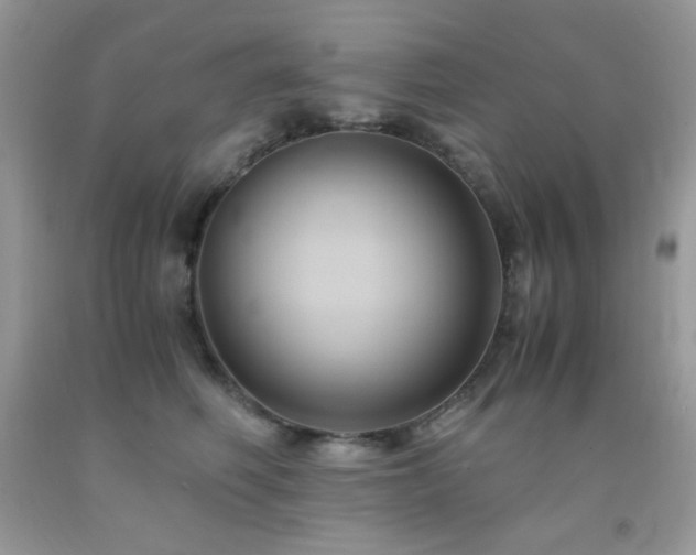 X0000092020614200709061554