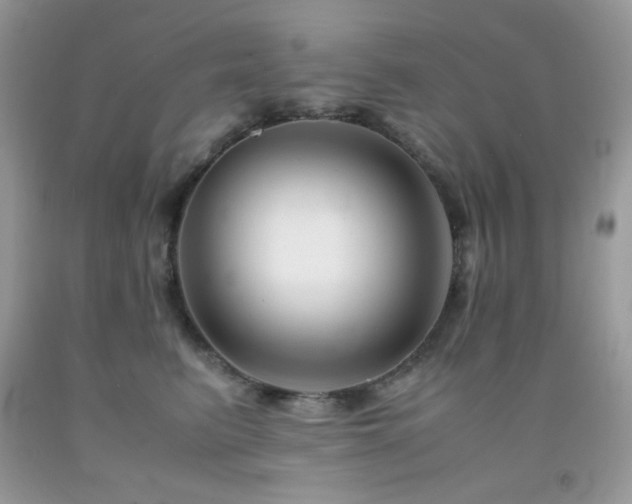 X0000092020615200709061554