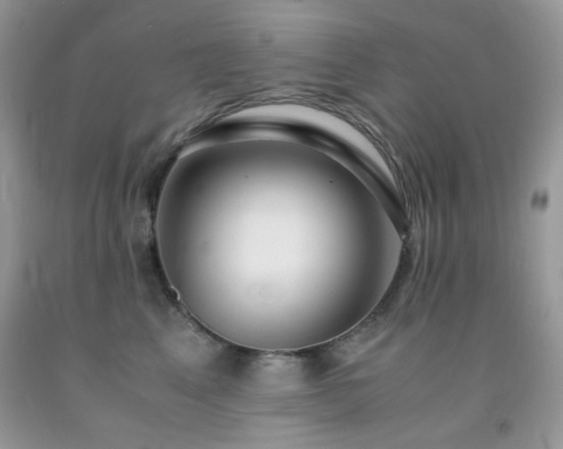 X0000092020617200709061554