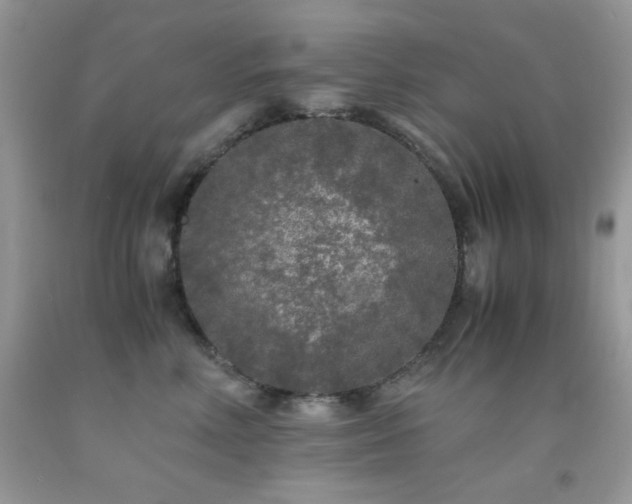 X0000092020618200709061554