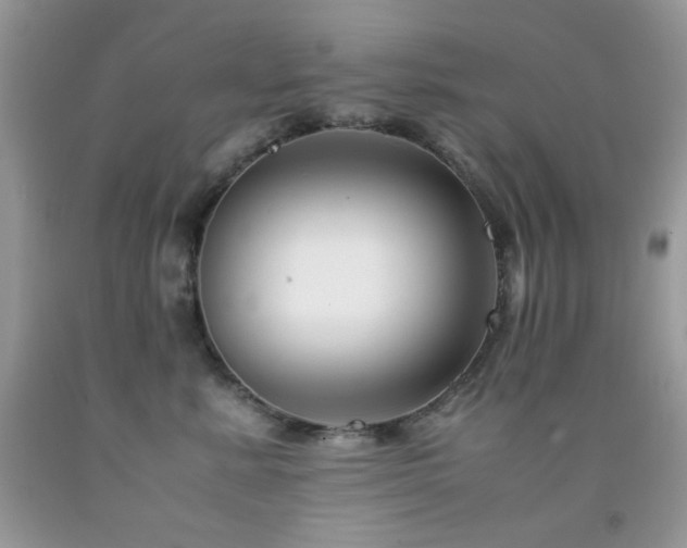 X0000092020619200709061554