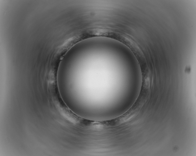 X0000092020620200709061554