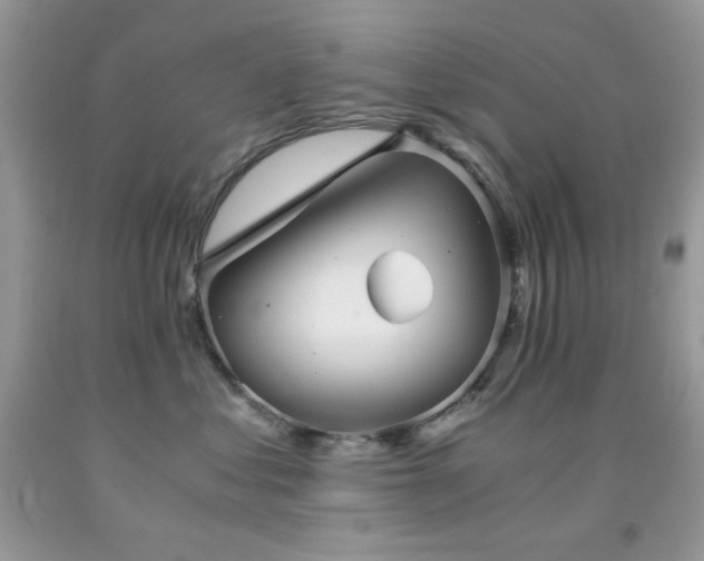 X0000092020621200709061554