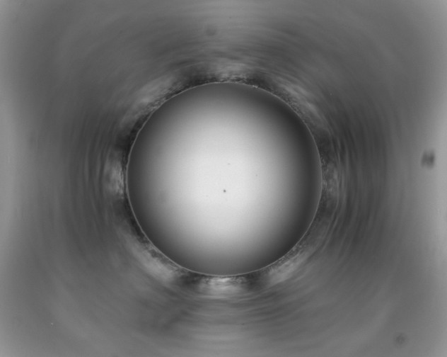 X0000092020622200709061554
