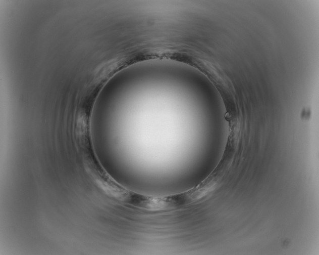 X0000092020623200709061554