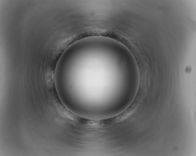 X0000092020624200709061554