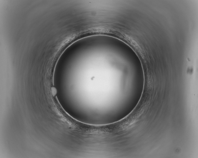 X0000092020625200709061554