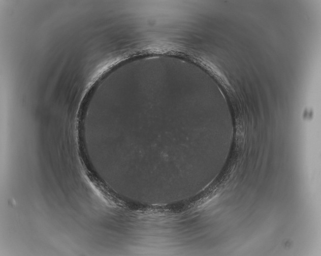 X0000092020626200709061554