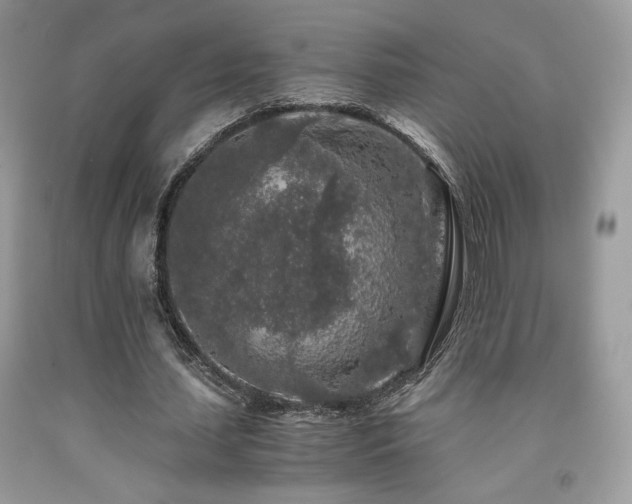 X0000092020627200709061554