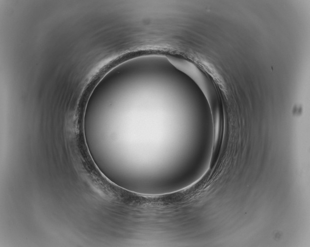 X0000092020628200709061554