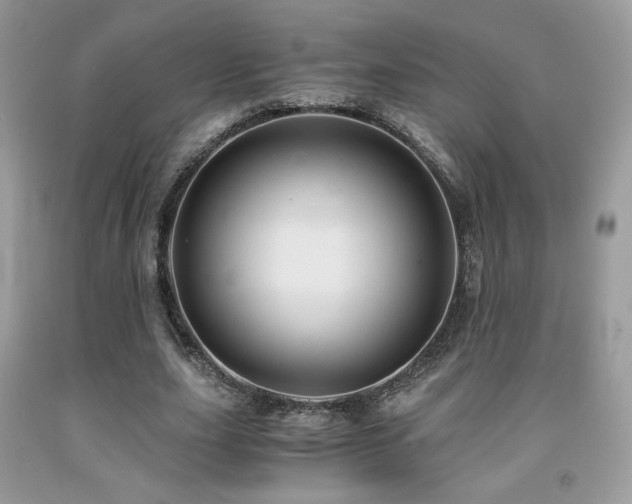 X0000092020631200709061554