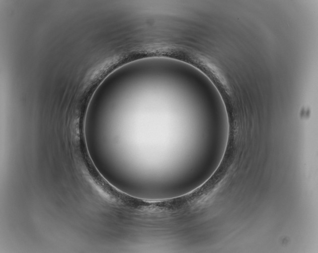 X0000092020633200709061554