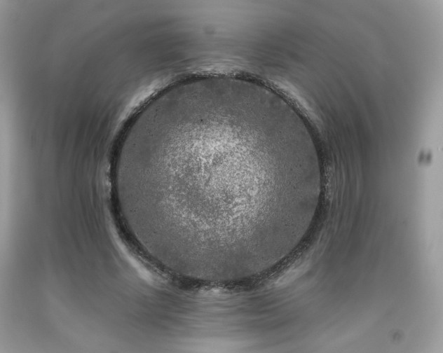 X0000092020634200709061554