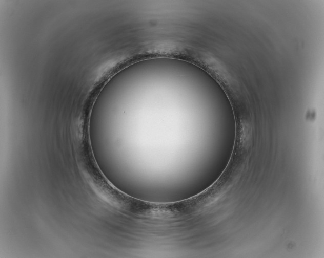 X0000092020636200709061554