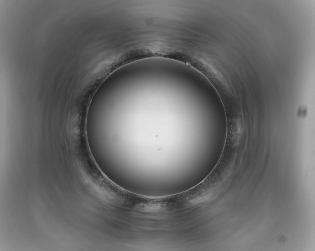 X0000092020639200709061554