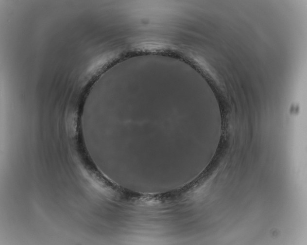 X0000092020640200709061554