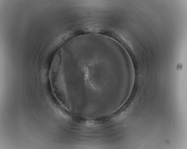 X0000092020641200709061554
