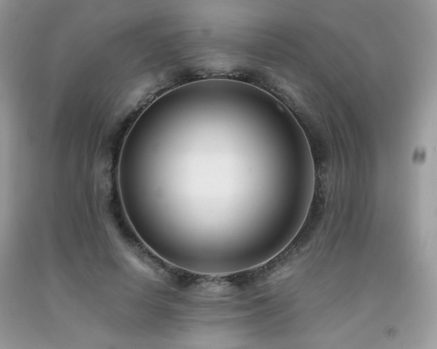 X0000092020642200709061554
