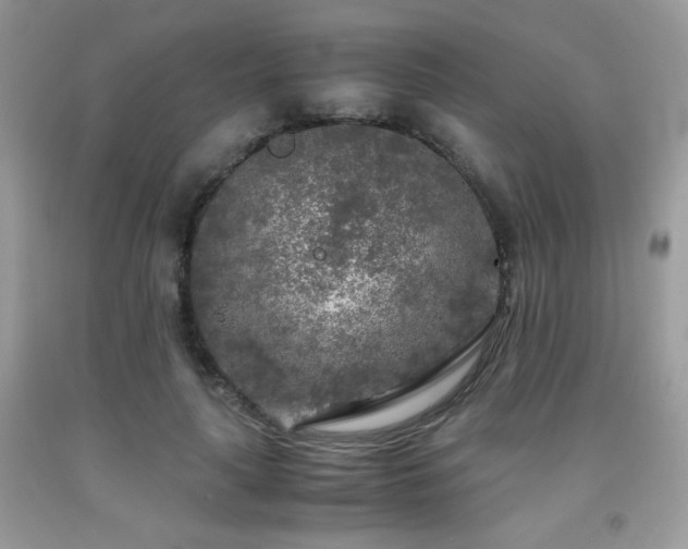 X0000092020643200709061554