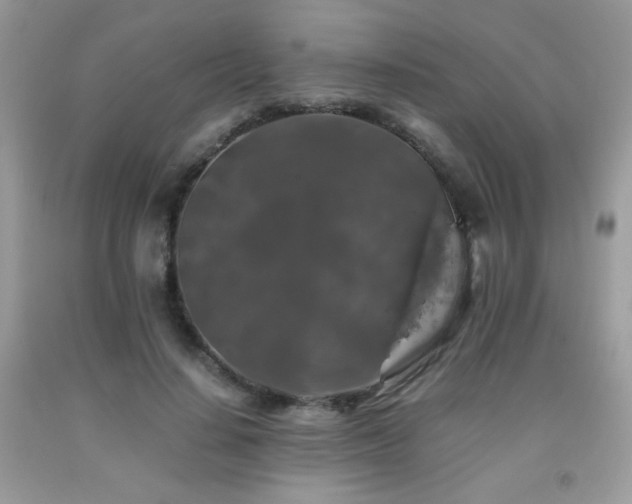 X0000092020644200709061554