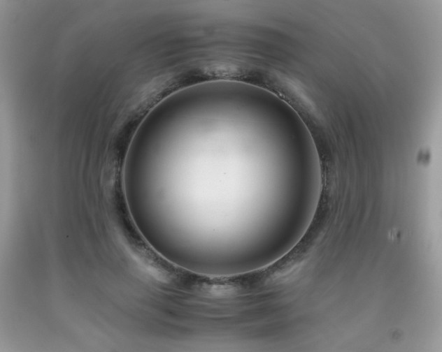 X0000092020645200709061554