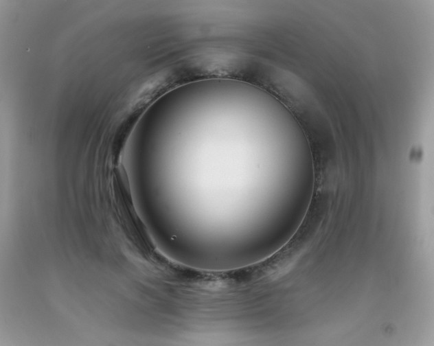 X0000092020646200709061554