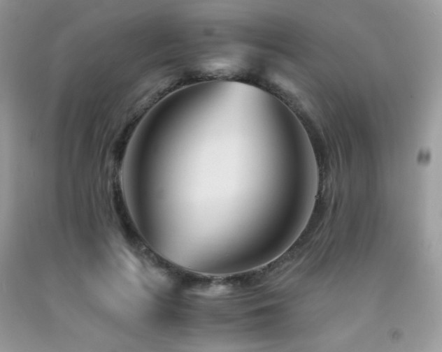 X0000092020647200709061554