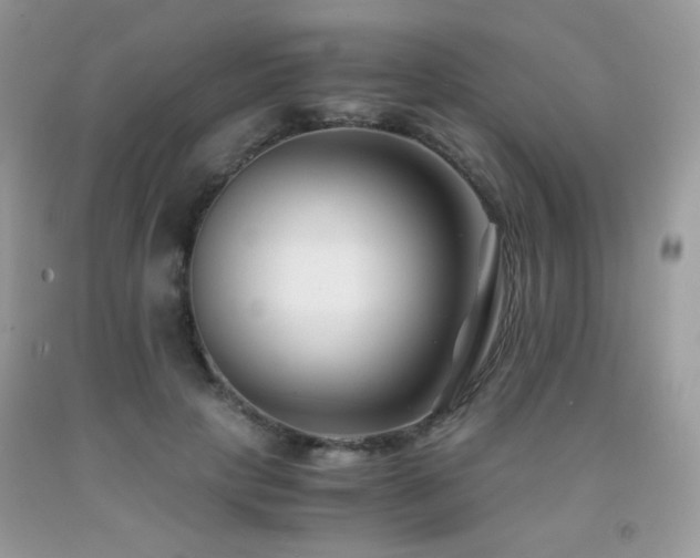X0000092020649200709061554