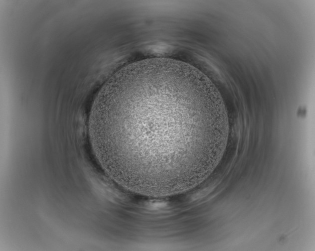 X0000092020651200709061554