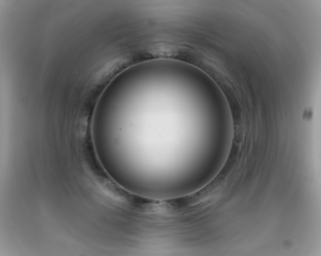 X0000092020652200709061554