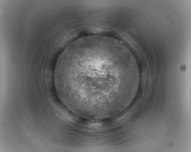 X0000092020653200709061554