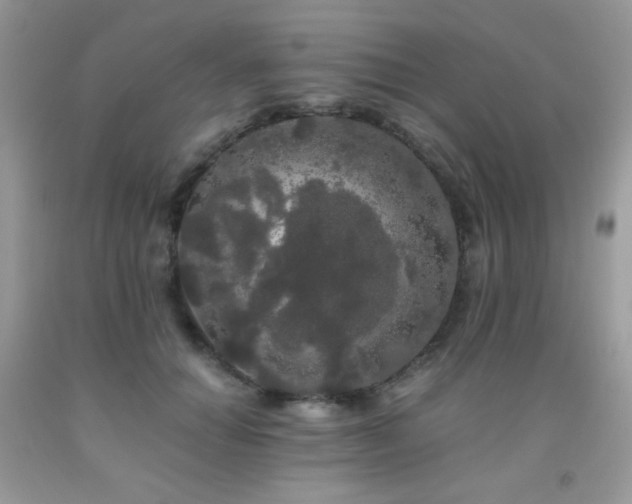 X0000092020654200709061554