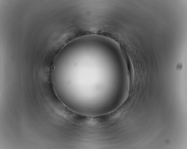 X0000092020656200709061554