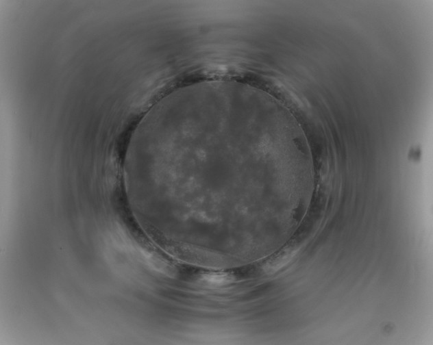 X0000092020659200709061554