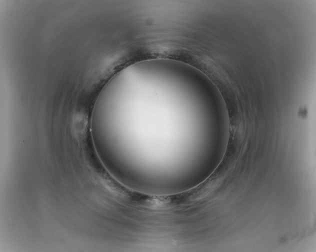 X0000092020660200709061554